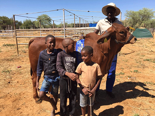 A farming blessing in disguise ...knee injury opens farming doors for ex-footballer