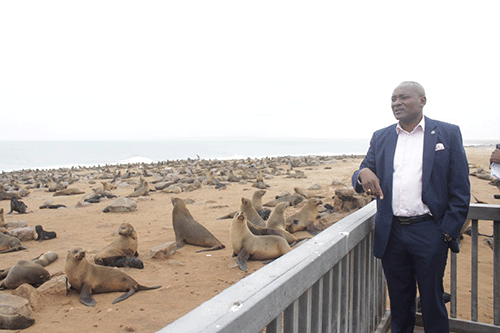 Shifeta demands sustainable resources management …calls for increased seal culling