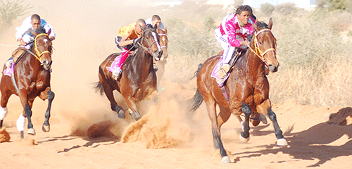 Top race horses to grind shoulders in Rehoboth