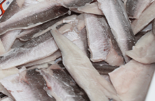 Fishing industry ‘backs’ hake auction 