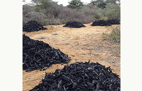 Charcoal worth N$2m on its way to the US