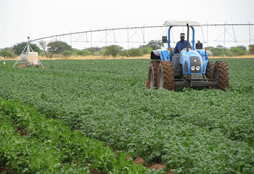 Crop production a formidable industry ...how to rake benefits from this all-important sector