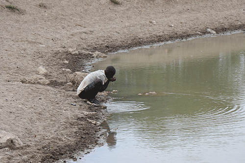 Governor appeals for drought emergency… as Kunene battles severe dry spell