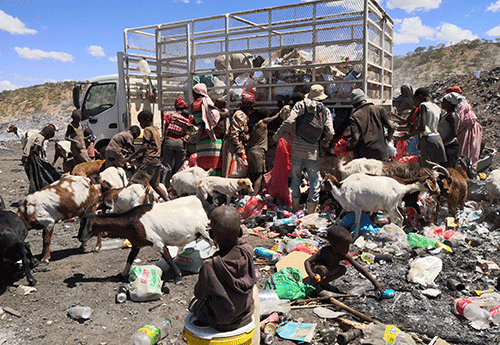 ‘Hunger drove us here’… people, animals throng Opuwo dumpsite 
