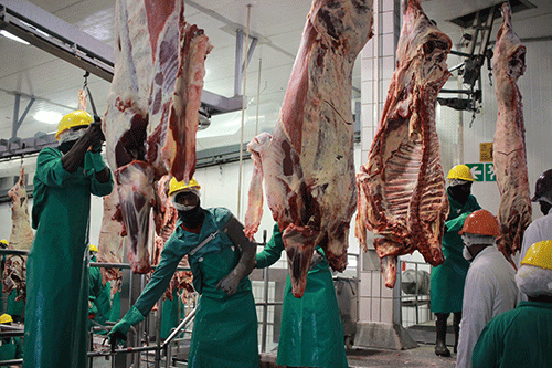 Meatco targets ageing workers in restructuring