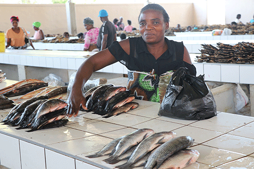 Fish vendors persevere amid pandemic fallout