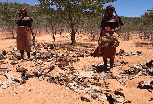 Devastating drought persists in Kunene