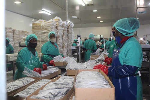 Turf battle over DRC fish quota 