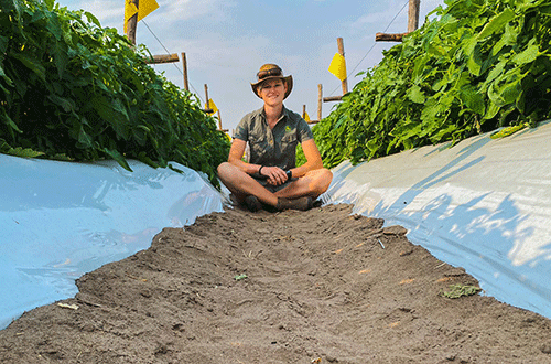 Small steps, giant leaps...vegetable production gives farmer new lease on life