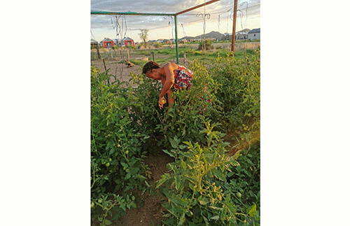 Rising above adversity…how farming transformed Tjaimi’s life