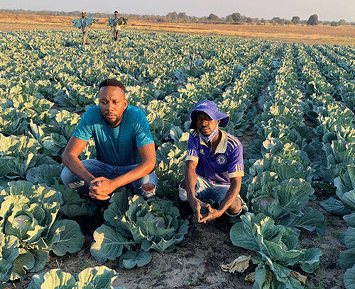 Resilient medium scale farmer aspires to feed the nation