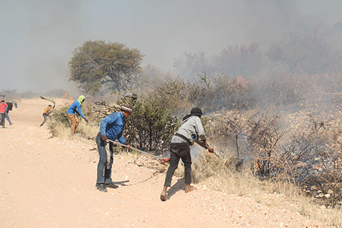 Veld fire devastates farming community
