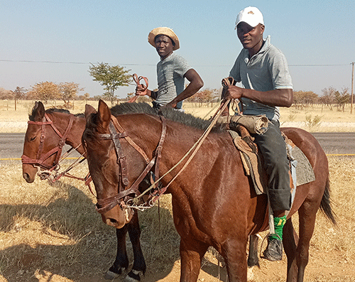 Kunene farmers hold on to livestock rearing