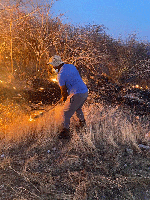 Farmers despair as fires decimate grazing land