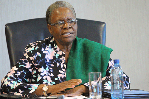 Zambezi, Chobe urged to form partnership
