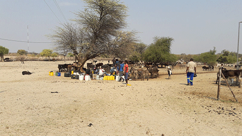 Water woes linger in Oshikoto… villagers say situation has reached alarming levels