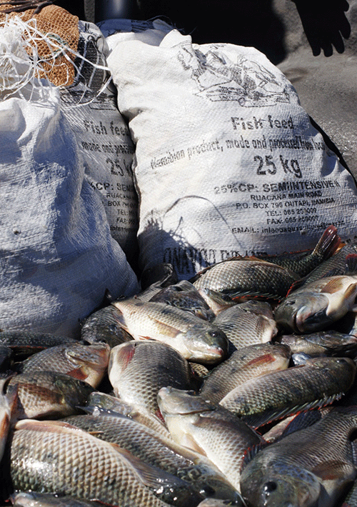 Aquaculture and inland fisheries flourish