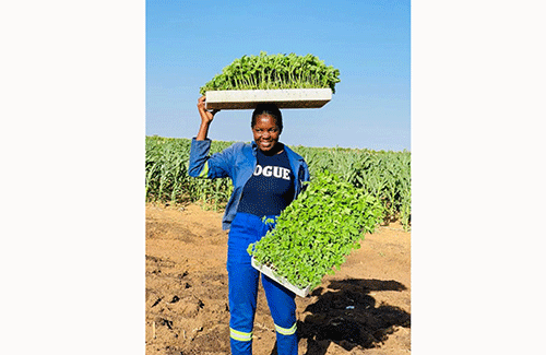 Young farmer cultivates her dreams