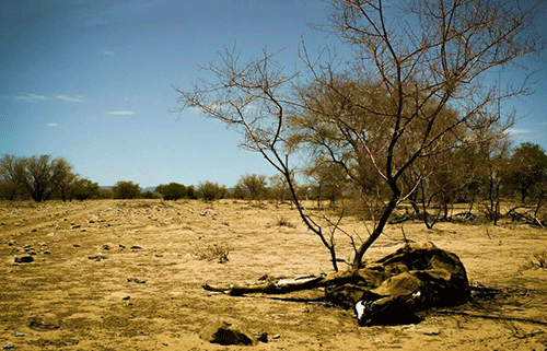 Climate change weighs heavy on Kunene