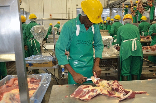 LPO advocates for contract slaughtering