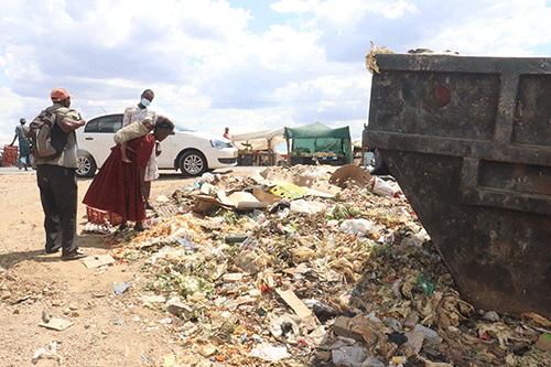 Councillors kick up stink over waste removal