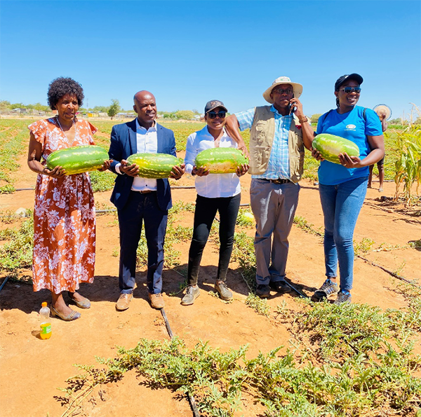 Fransfontein garden grows in leaps and bounds