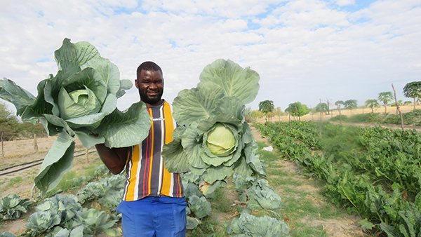 Scribe turns farming pages…Nandjato finds new home in Far-Far Away Farming