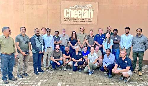 India seeks Namibian cheetahs