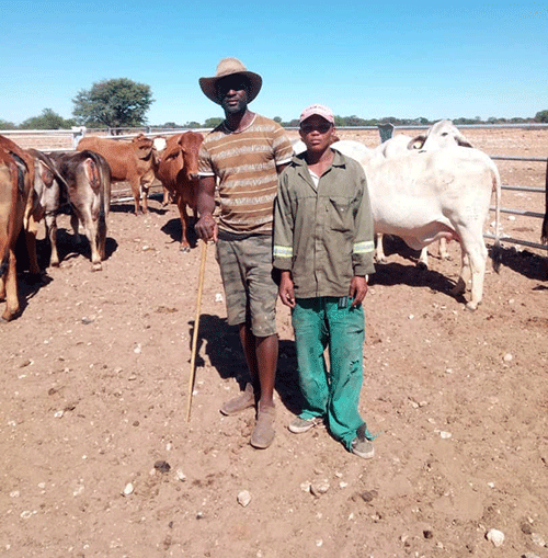 Small steps into commercial farming