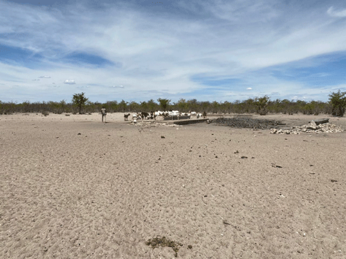 Drought rapidly worsening in Kunene
