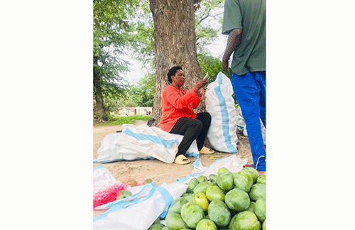 Katima woman reaps mango market rewards