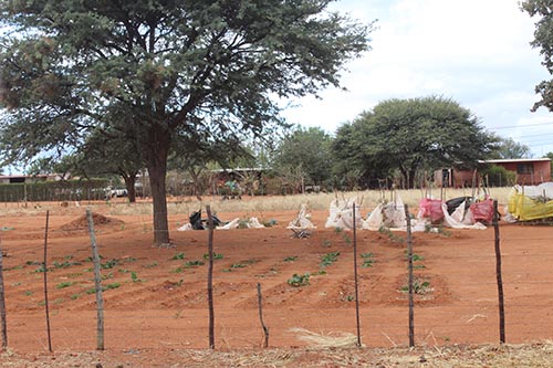 Community sinks own borehole