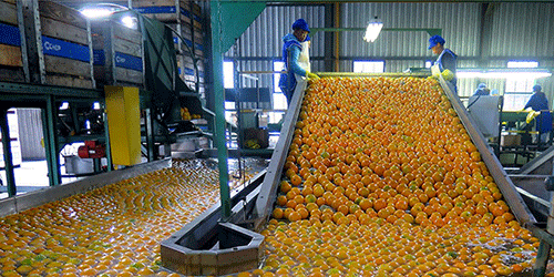 Food industry offers low hanging fruit - !Gawaxab