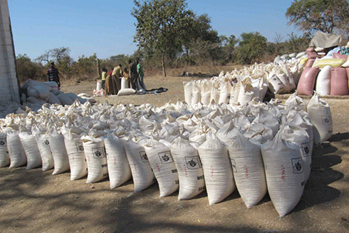 Maize meal smuggling booms in Zambezi