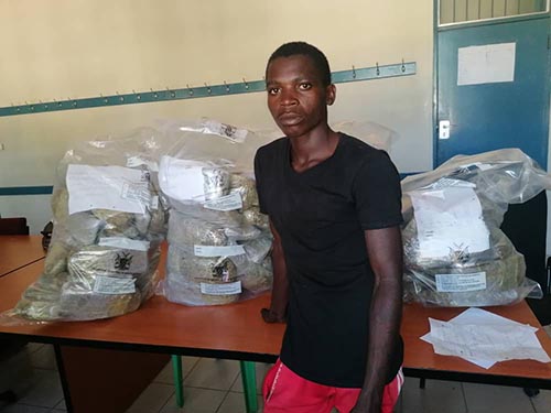 Teen gets N$5 000 bail over dagga possession