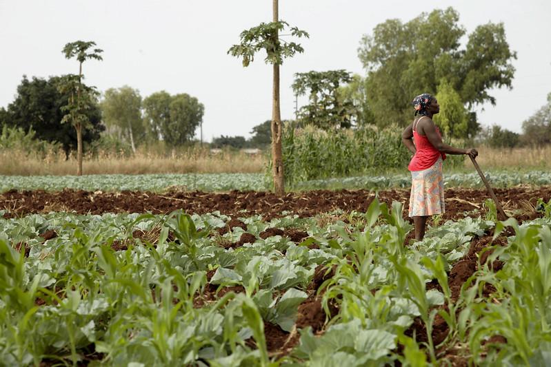 Namfisa agri-index gaining traction as World Bank visits