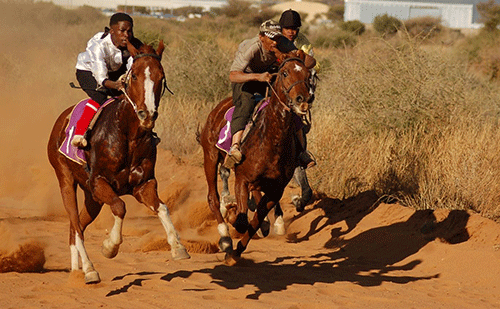 Okahandja Expo Derby this weekend… top horses to race