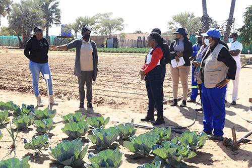 Kavango West scales up horticulture