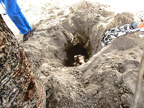 Omusati boy found buried in shallow grave