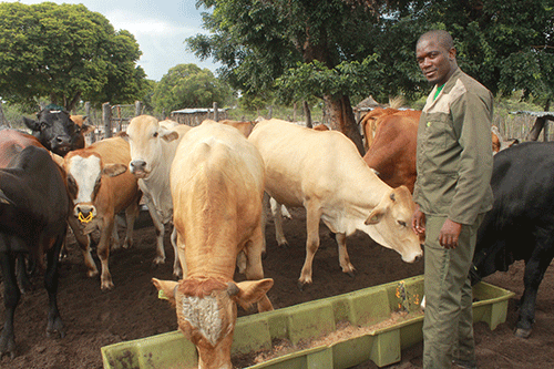 Sports officer balances work and farming