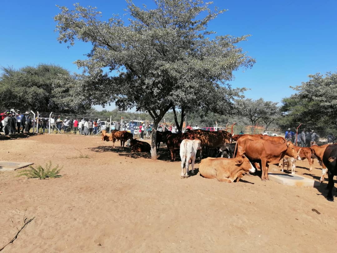 Epukiro livestock theft dockets missing again