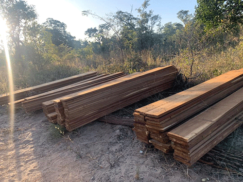 Government seizes timber in Kavango West