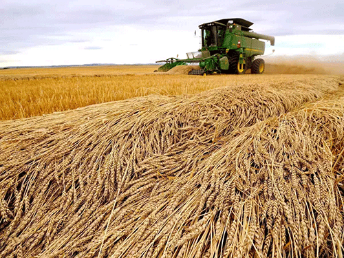 Opinion - Grain export deal, weapons and the threat of famine in Ukraine