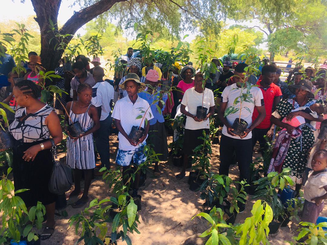 Plant a Tree project launched in Ohangwena