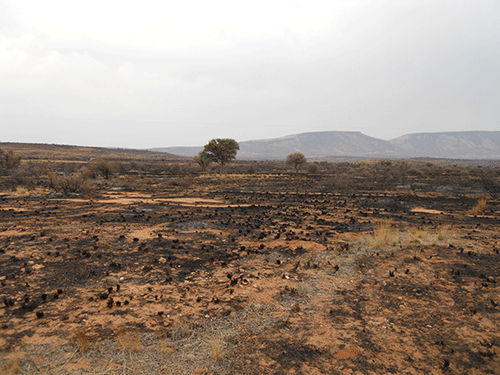 Southern farmers count veld fire losses 
