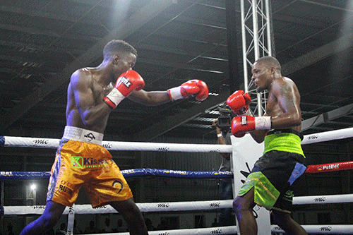 Energy stops Ngebinyane in 11th round…as Ndjolonimus stuns Muledzi