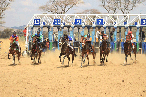 Kaapstad wins horse race