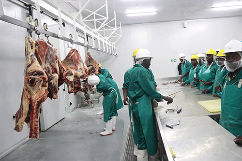 Meatco’s N$170 million Rundu abattoir operational