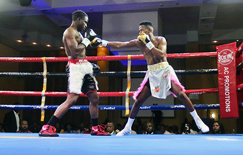 Boxers in good shape – Moses...as bonanza draws closer