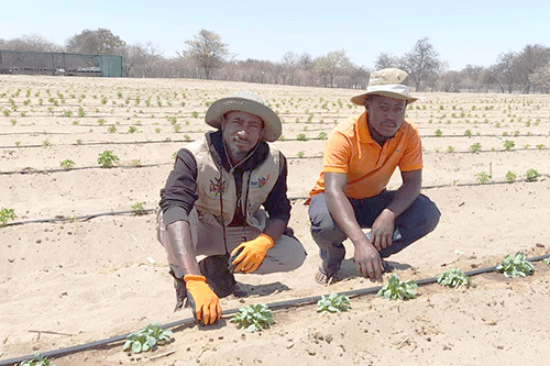 From police officer to horticulture farmer